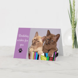 Tarjeta de Feliz Cumpleaños con Gato Adorable