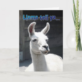 Tarjeta de Feliz Cumpleaños con Llama Divertida