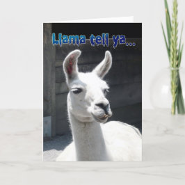 Tarjeta de Feliz Cumpleaños con Llama Divertida
