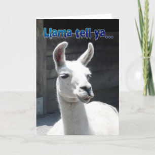 Tarjeta de Feliz Cumpleaños con Llama Divertida