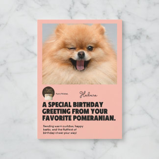 Tarjeta de Feliz Cumpleaños con Pomerania Guiñando