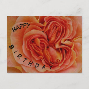 Tarjeta de Feliz Cumpleaños con Rosa Pastel Precio
