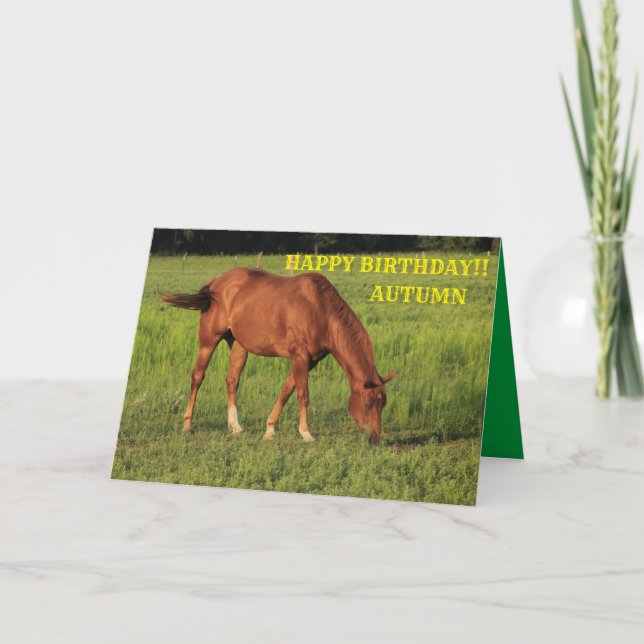 Tarjeta de Feliz Cumpleaños de Caballo Rojo de Cam (Anverso)
