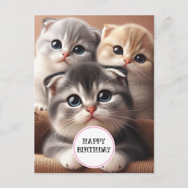 Tarjeta de Feliz Cumpleaños de Tres Gatitos (Anverso)