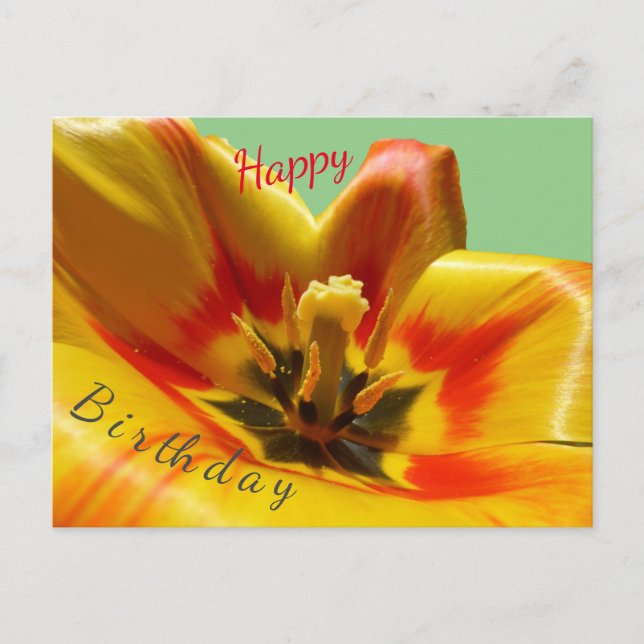 Tarjeta de Feliz Cumpleaños de Tulipán Naranja Ama (Anverso)