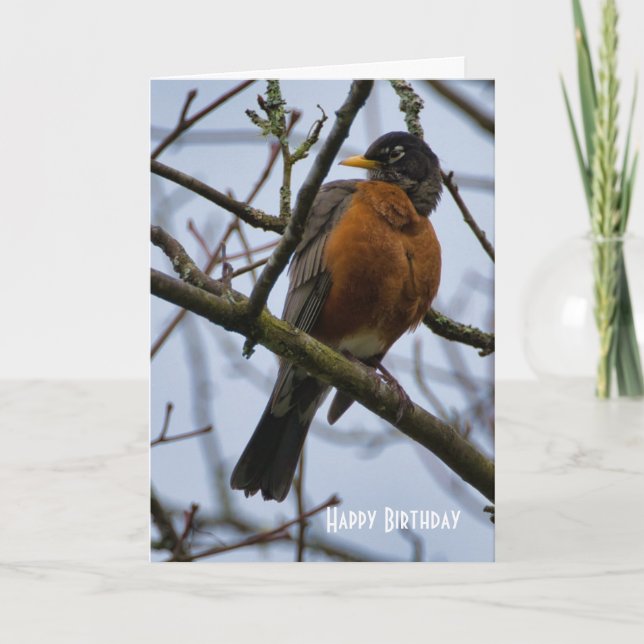 Tarjeta de Feliz Cumpleaños del hermoso petirrojo  (Anverso)
