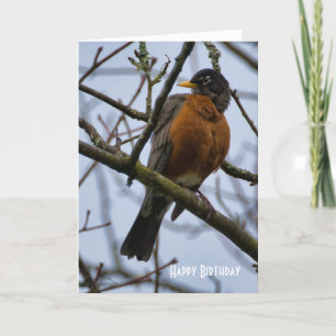 Tarjeta de Feliz Cumpleaños del hermoso petirrojo 