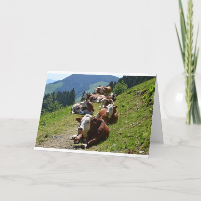 Tarjeta de Feliz Cumpleaños Grupo de Vacas (Anverso)