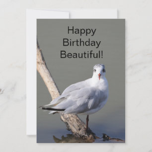 Tarjeta de Feliz Cumpleaños Hermosa Paloma