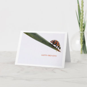 Tarjeta de Feliz Cumpleaños Mariquita