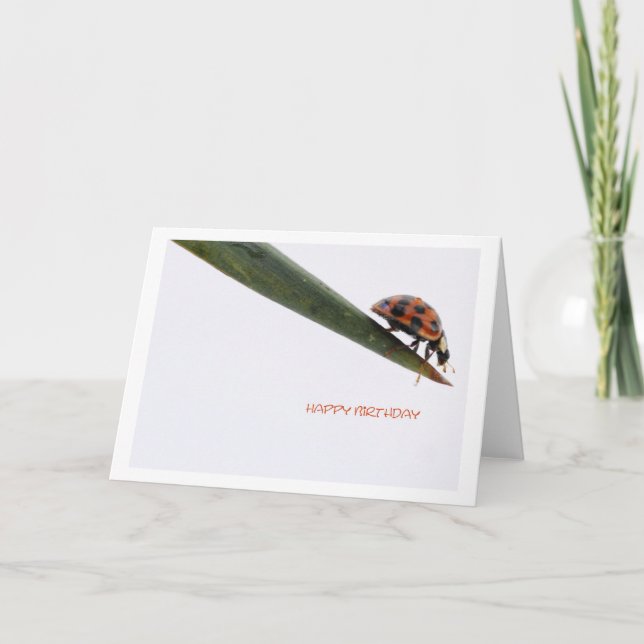 Tarjeta de Feliz Cumpleaños Mariquita (Anverso)