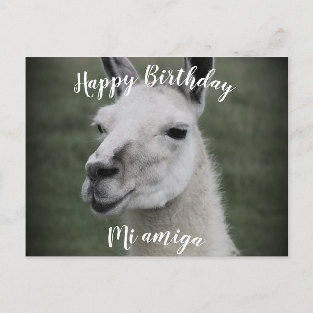 Tarjeta de Feliz Cumpleaños "Mi Amiga" Llama (Anverso)