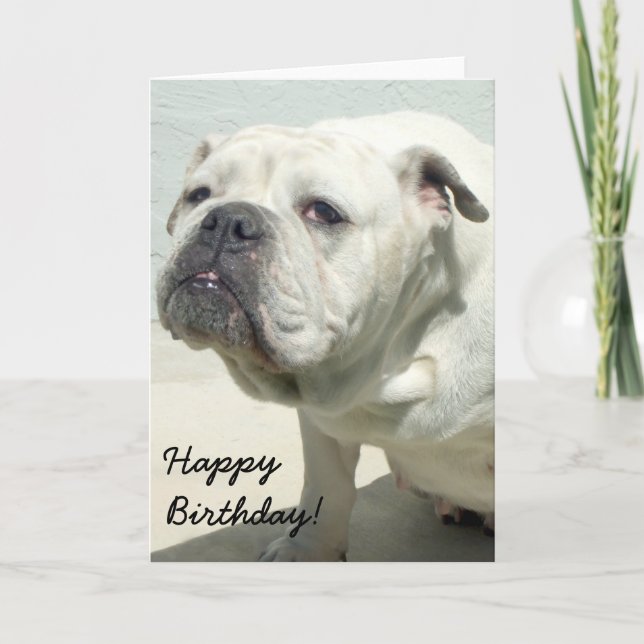 Tarjeta de Feliz Cumpleaños para Bulldog Blanco (Anverso)