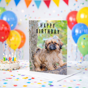 Tarjeta de Feliz Cumpleaños para Cachorro de Shih