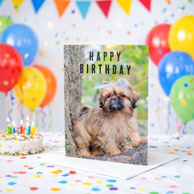 Tarjeta de Feliz Cumpleaños para Cachorro de Shih  (Happy Birthday Shihtzu Puppy Dog Card)