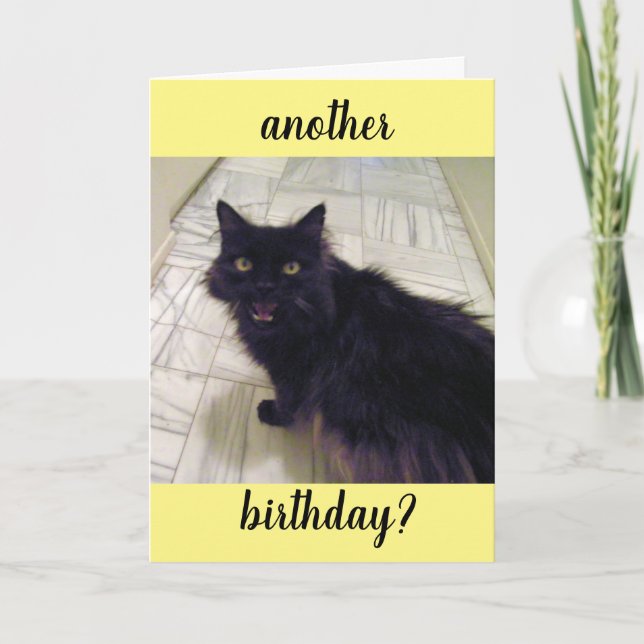 Tarjeta de Feliz Cumpleaños para Gato Negro (Anverso)