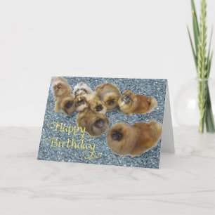 Tarjeta de Feliz Cumpleaños para Pekinés