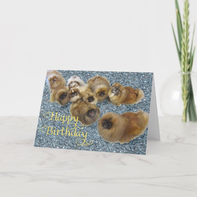 Tarjeta de Feliz Cumpleaños para Pekinés (Anverso)