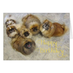 Tarjeta de Feliz Cumpleaños para Pekinés