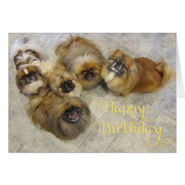 Tarjeta de Feliz Cumpleaños para Pekinés (Anverso (Horizontal))