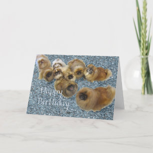 Tarjeta de Feliz Cumpleaños para Pekinés
