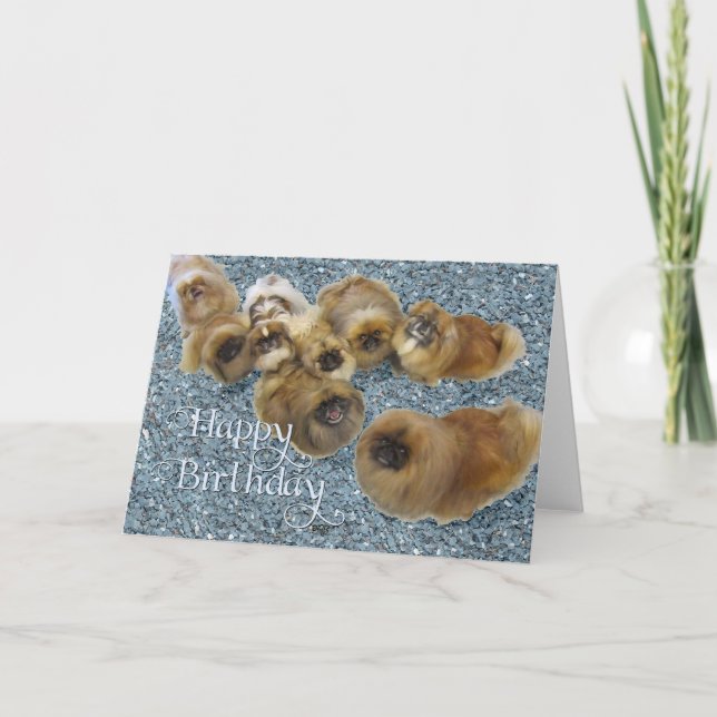 Tarjeta de Feliz Cumpleaños para Pekinés (Anverso)