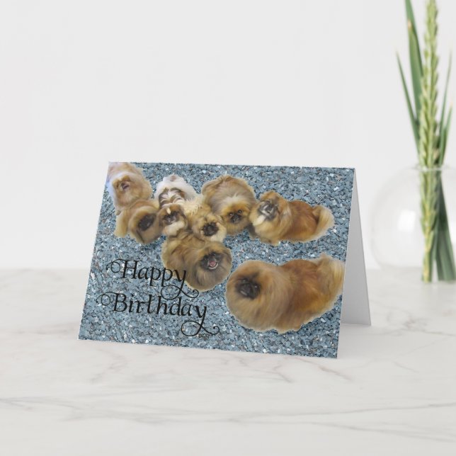 Tarjeta de Feliz Cumpleaños para Pekinés (Anverso)