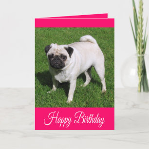 Tarjeta de Feliz Cumpleaños para Perro Pug Cachorr