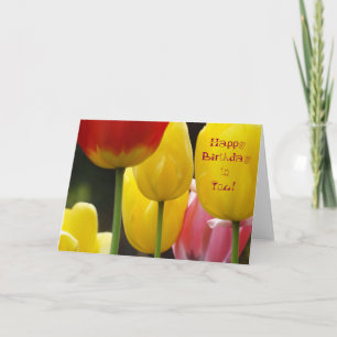 Tarjeta de Feliz Cumpleaños! Tarjetas de Tulipán B