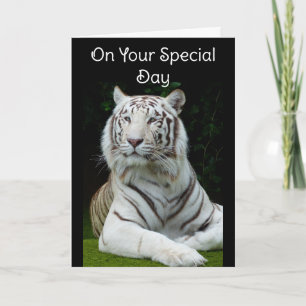 Tarjeta de Feliz Cumpleaños Tigre Blanco