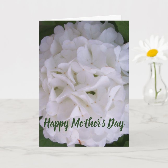 Tarjeta de Feliz Día de la Madre Floral Snowball B (Planta pequeña)