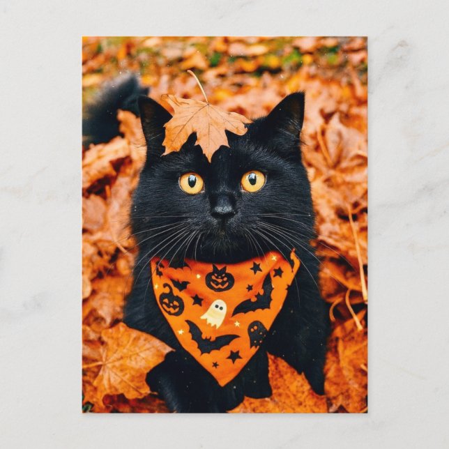 Tarjeta de Feliz Halloween de Gato Negro (Anverso)