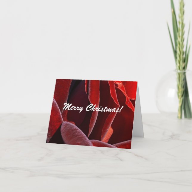 Tarjeta de Feliz Navidad (Anverso)