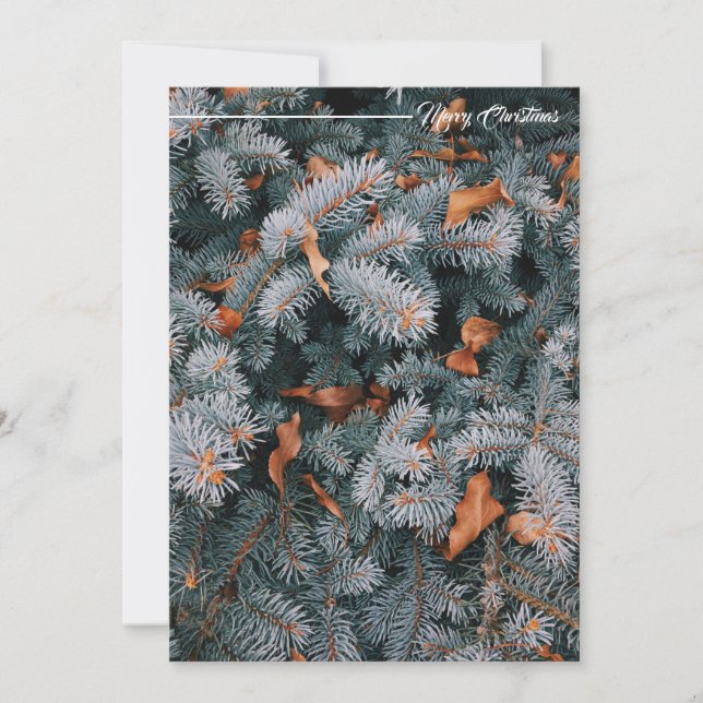 Tarjeta de Feliz Navidad (Anverso)