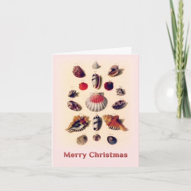 Tarjeta de Feliz Navidad Conchas de Color Rosa (Anverso)