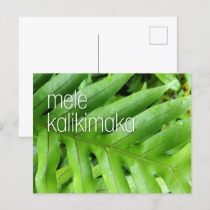 Tarjeta de Feliz Navidad de Mele Kalikimaka