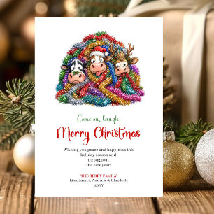 Tarjeta de Feliz Navidad de Vacas Divertidas Dibuj