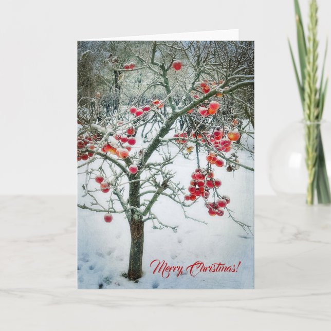 Tarjeta de Feliz Navidad Preciosa! (Anverso)