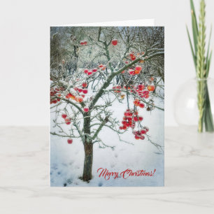 Tarjeta de Feliz Navidad Preciosa!