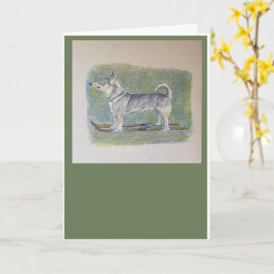 Tarjeta de Feliz Navidad Vollhound