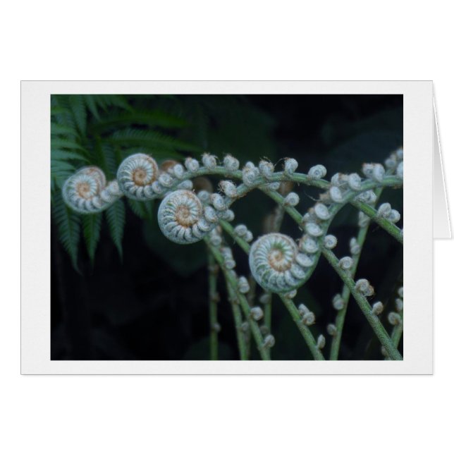 Tarjeta de feriado (Anverso (Horizontal))