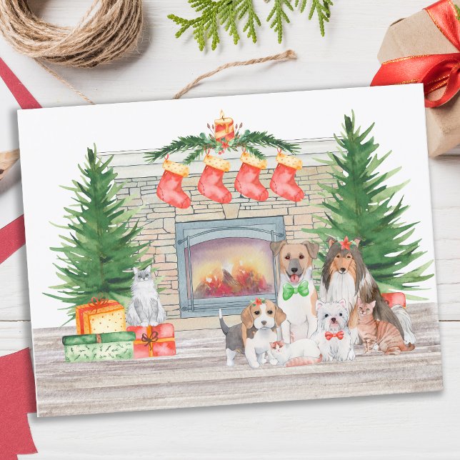 Tarjeta de feriado para Navidades de gatos de perr (Subido por el creador)
