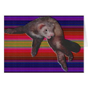 Tarjeta de Ferret de baile