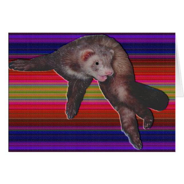 Tarjeta de Ferret de baile (Anverso (Horizontal))