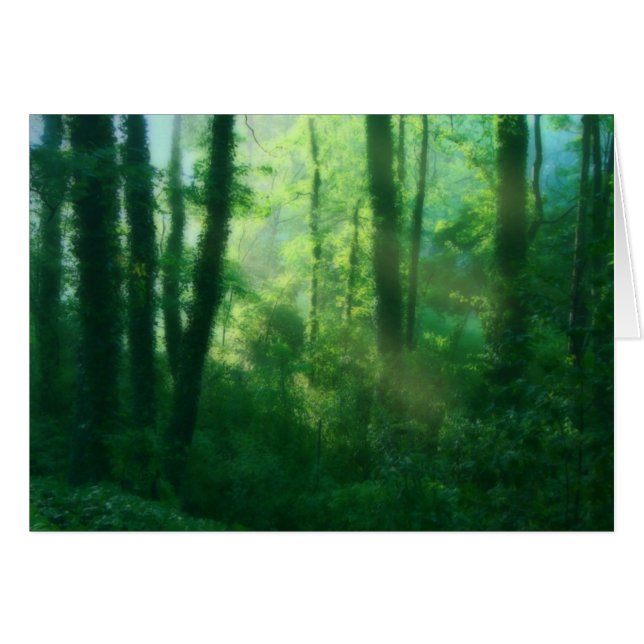 Tarjeta de fertilidad (Anverso (Horizontal))