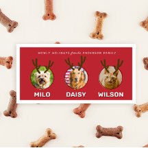 Tarjeta de festividad para Navidades de Mascotas d