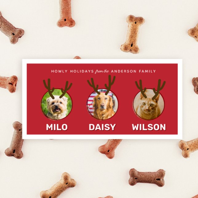 Tarjeta de festividad para Navidades de Mascotas d (red three photo funny pet Christmas holiday card with antlers and custom message on the back)