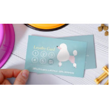 Cuidado de mascotas con baño y creciente puntería 