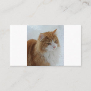 Tarjeta De Fidelización Gato_del_bosque_noruego