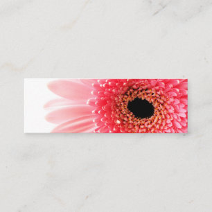 Tarjeta De Fidelización Gerbera Daisy Poster